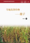 旱地先锋作物  糜子