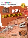 化石  生命演化的传奇封面