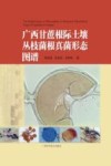 广西甘蔗根际土壤丛枝菌根真菌形态图谱封面