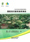 现代农业技术服务体系集成  西瓜技术服务体系集成封面