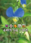 赤峰野生花卉图谱封面