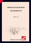超快激光成丝现象的多丝控制技术封面