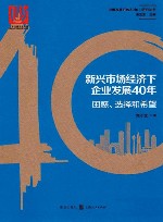 新兴市场经济下企业发展40年  困惑、选择和希望