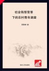 社会转型背景下的农村青年调查封面