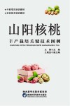 山阳核桃丰产栽培关键技术图例