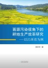 面源污染视角下的耕地生产效率研究