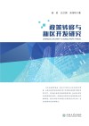 政策转移与新区开发研究