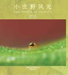 小虫野风光