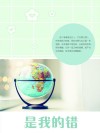 是我的错