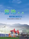 盐池工业封面