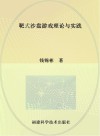 靶式沙盘游戏理论与实践