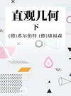 直观几何  下
