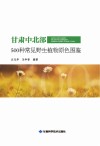 甘肃中北部500种常见野生植物原色图鉴