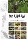 江西九连山蛇类