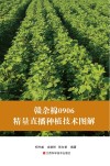 赣杂棉0906精量直播种植技术图解封面