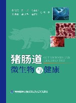 猪肠道微生物与健康