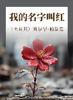 我的名字叫红