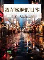 我在暧昧的日本
