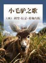小毛驴之歌