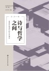 中国当代文艺学话语建构丛书  诗与哲学之间  思想史视域中的文学理论