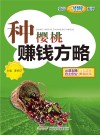 种樱桃赚钱方略封面