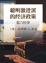 聪明激进派的经济政策  混合经济封面