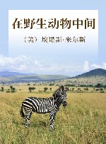 在野生动物中间