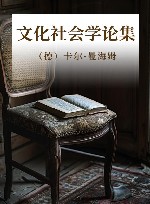 文化社会学论集封面