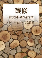 镶嵌  社会网与经济行动