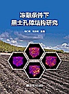 冻融条件下黑土孔隙结构研究封面