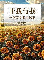 非我与我  王铭铭学术自选集 电子书封面