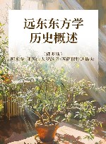 黑龙江流域暨远东历史文化丛书  远东东方学  历史概述