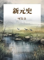新元史封面