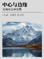 中心与边缘  宏观社会学论集