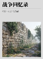 战争回忆录封面