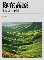 你在高原  第5部  忆阿雅 封面