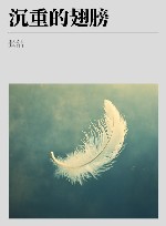 沉重的翅膀  第2版