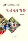 云南社科普及系列丛书  农村电子商务封面