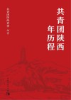 共青团陕西百年历程封面