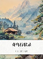 奇鸟行状录