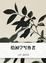 给初学写作者封面