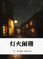 灯火阑珊 封面