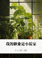 我的职业是小说家