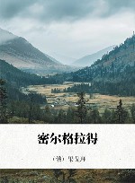 果戈理文集  2  密尔格拉得 封面