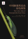 中国脉翅目昆虫原色图鉴