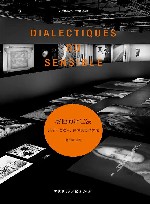 新迷影丛书  感性的辩证法  乔治·迪迪·于贝尔曼电影文选