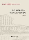 联合国维和行动  一种公共安全产品的视角封面