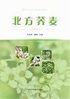 北方荞麦封面