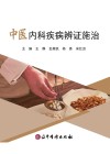 中医内科疾病辨证施治封面