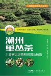 新时代乡村振兴丛书 潮州单丛茶 主要病虫害简明识别及防治封面